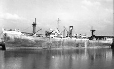 Argos Hill Ship of the Counties Line Shipping Co OLD PHOTO picture
