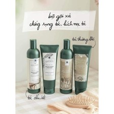 Weilaiya Ginger Hair Shampoo and Conditioner Set For Hair Loss & Oil Control picture