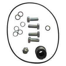 DAYTON GGS_103723 Pump Repair Kit 800VY0 picture
