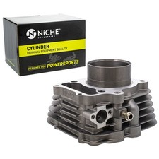 NICHE 300cc Engine Cylinder 74mm for Honda Sportrax 300 TRX300X 12100-HM3-L00 picture