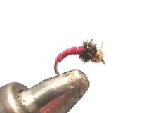 Beadhead Zebra Midge Red, One Dozen(12) Fly Fishing Nymph- Strike Fly Company picture