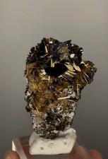 Amazing Golden Rutile with Shiny Hematite picture