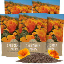 Bulk California Orange Poppy Wildflower Seeds - 5 Pounds - over 1,600,000 Native picture