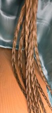 Sweetgrass Braids ~ Hierochloe Odorata ~ United States picture
