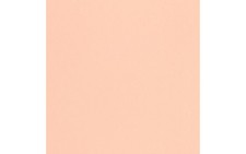Cdstk Muslin 12x12 73lb 1000pc Box Pink Sand picture