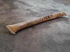 Woodstock '99 concert mud dirt music festival souvenir rock memorabilia 1999 NY picture