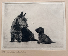 Morgan Dennis It's a Wise Child 1930 Etching Signed Scottie and Puppy Framed picture