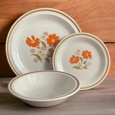 VTG Nikko 3 Pc Place Setting Colorstone Japan Stoneware Tangerine Orange Plate picture