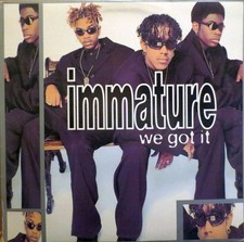Immature - We Got It (LP, Album) (Mint (M)) - 4364992305 picture
