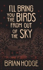 I'll Bring You the Birds From out of the Sky picture