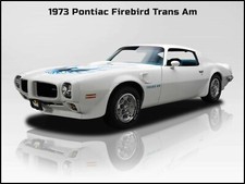 1973 Pontiac Firebird Trans Am NEW Metal Sign: Large Size 12 x 16
