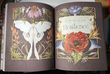 The Way of the Wildflower: Gospel Meditations for Your Anxious Soul (NEW) $17 picture