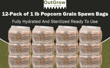12-Pack Sterilized Popcorn Grain Spawn – 1 lb Bags with Injection Ports picture