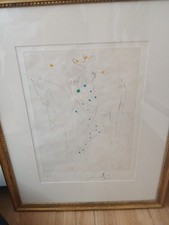 Dali Hand-colored etching “Picasso’s Horse” Signed and Numbered picture