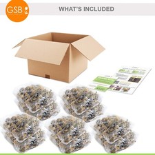Garden State Bulb Naturalizing Mixed Daffodil Flower Bulbs, 12/14cm picture