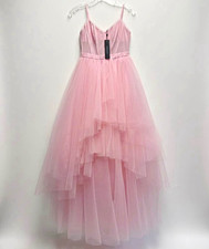 NWT Blush Pink Tulle Tiered Ball Gown Maxi Dress - Corset Bodice picture