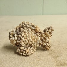 Vintage Sea Shell Fish art  - 3.50