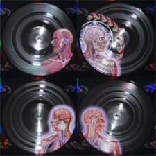 Lateralus by Tool (Record, 2005) picture