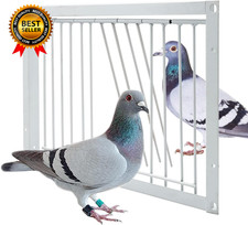 11.8In/30Cm Pigeon Cage Door One Way Entrance Door Bird T Trap Birdcage Iron picture