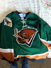 Reebok Utah Grizzlies Vintage Officially Licensed Hockey Jersey Unisex Adult L picture