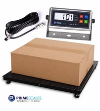5'x5' Floor Scale 60