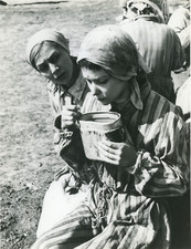 Cinema, 