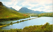 Menehune Fish Pond Kauai Hawaii Vintage Postcard 5P18-17 picture