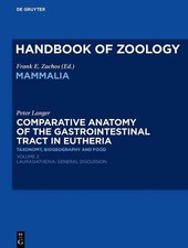 Peter Langer Comparative Anatomy of the Gastrointestinal Tract in Eut (Hardback) picture