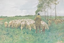 Vintage 1924 Anton Mauve Spring Print Shepherd Sheep Pastoral Landscape 11x16 picture