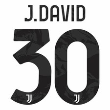 J. David #30 Juventus 2026-2027 Home Nameset Pet Heat Transfer Football Jersey picture