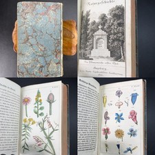 1810 🌿 German Botany 57 of 58 Hand Colored Plates Wilhelm Augsburg Vol 1 Only picture
