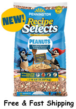 Pennington Shelled Peanuts Wildlife and Wild Bird Food, 5 lb. Bag, 1 Pack, Dry picture