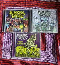 lot of 3 municipal waste thrash metal cds picture