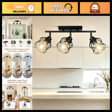 Adjustable 3-Light Semi Flush Mount Ceiling Light - Vintage Black Metal Cage Fix picture