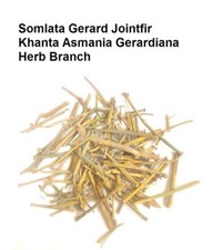 Somlata Gerard Jointfir Khanta Asmania Branch Stem Whole 1kg (35.27oZ)` picture