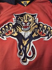 (L) 2012 Florida Panthers Reebok NHL hockey jersey picture