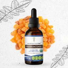 Secrets Of The Tribe Frankincense Tincture Alcohol-FREE picture