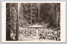 1945 Guerneville CA Armstrong State Park Amphitheater Real Photo Postcard RPPC picture