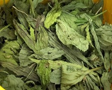 Fresh WHOLE DRIED Broadleaf PLANTAIN Leaves*Wild Medicinal*Sustainable Tiny Farm picture