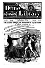 BEADLE'S NEW YORK DIME LIBRARY 175 Classic Issue Collection On USB Thumb Drive picture