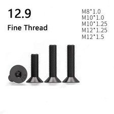 Fine Thread Black 12.9 Steel Hex Socket Countersunk Flat Head Screws M8/M10/M12 picture