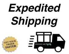 expedite shipping picture