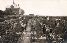 Lewiston Minnesota School House & Garden 1914 RPPC Photo Postcard COPY picture