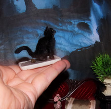 Black cat pooping Realistic MADE TO ORDER OOAK 1:12 Miniature Dollhouse handmade picture