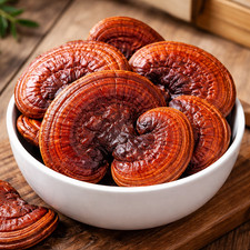 Whole Red Reishi Mushroom - 100 Pure Non-GMO Ganoderma Lucidum Immune System picture