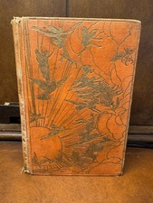 1906 1st ed Orange Fairy Book Andrew Lang Fairy Tales Ugly Duckling Magic Mirror picture
