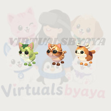 Matcha Cat - Catte - Cattuccino - Adopt Right picture