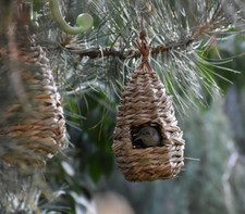 3 Pack Handwoven Grass Hummingbird Houses Hanging Bird Nest for Outdoor Garden picture