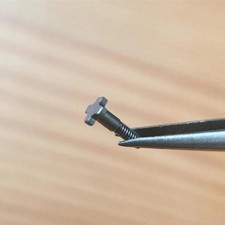 1pcs Titanium 4 Prongs Watch Screw Fits Richard Mille RM67 Watch Band / Case picture