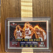 Rodman Pippen 16-bit Game  Custom art Card Bulls  /99 picture